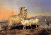 Richard ansdell,R.A. A Ewe with Lambs and A Heron Beside A Loch oil